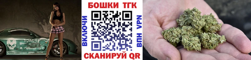 Шишки марихуана планчик  блэк спрут   Лесной 